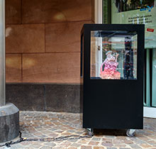 Bild: Johanna K-Becker